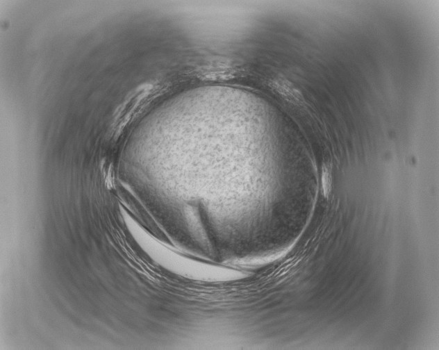 X0000055971444200508261621