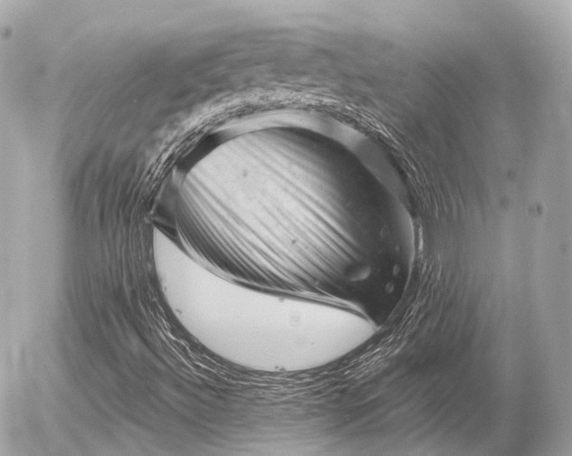X0000055971492200508261620