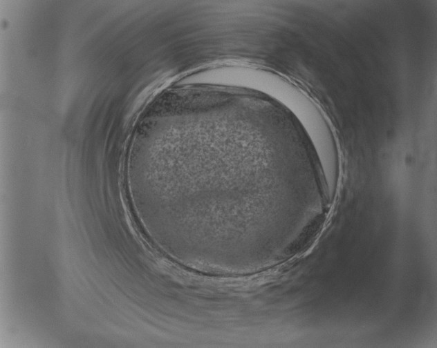 X0000055970001200509021558