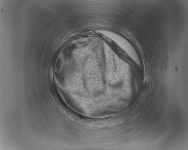 X0000055970021200509021558