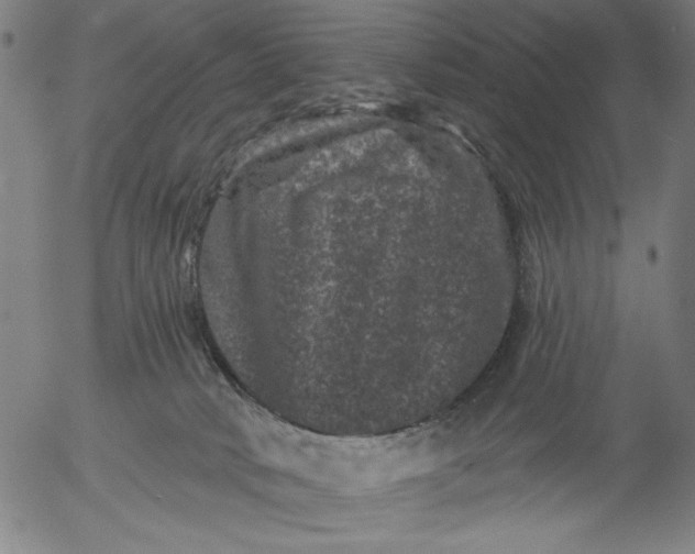 X0000055970034200509021558