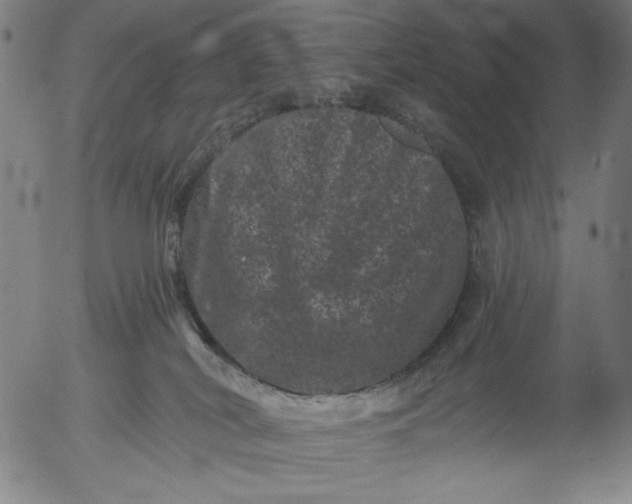 X0000055970038200509021558