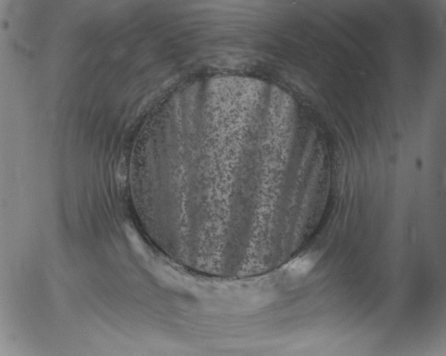 X0000055970040200509021558