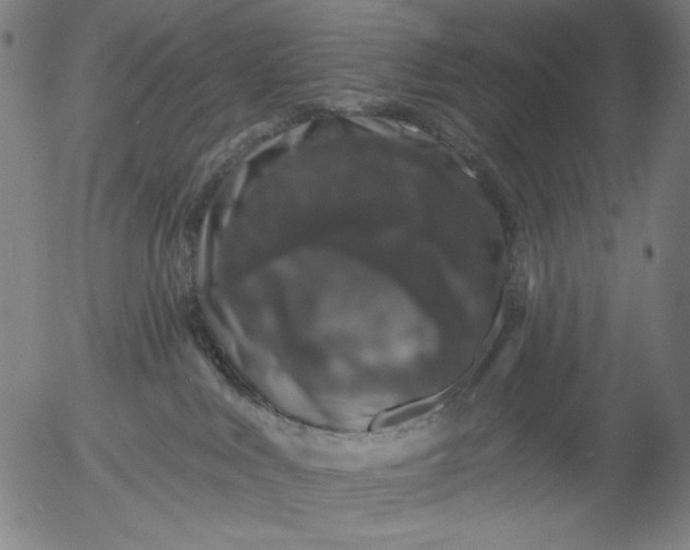 X0000055970043200509021558