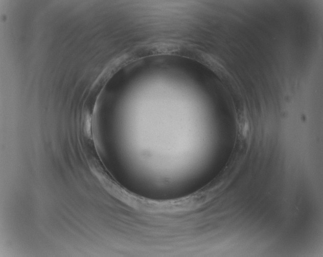 X0000055970046200509021558