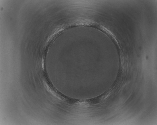 X0000055970067200509021557
