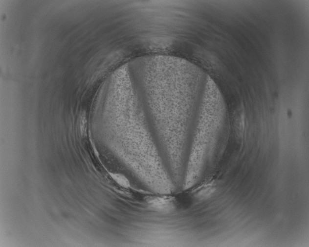 X0000055970083200509021557