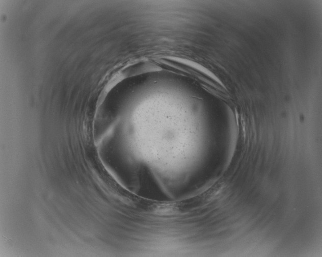 X0000055970088200509021558