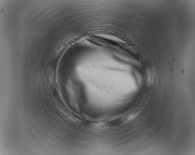X0000055970092200509021558