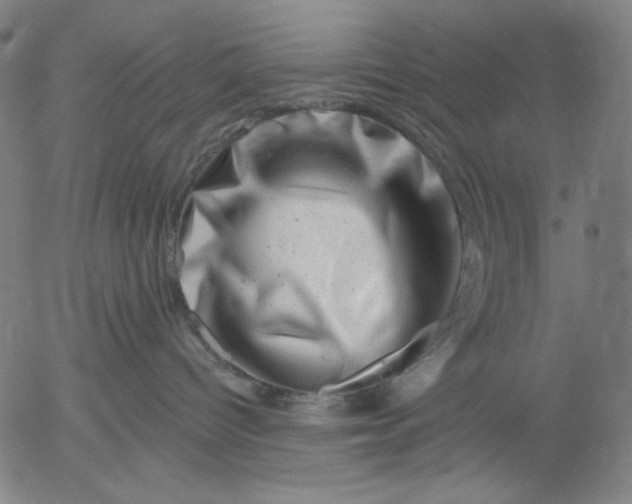 X0000055970096200509021558