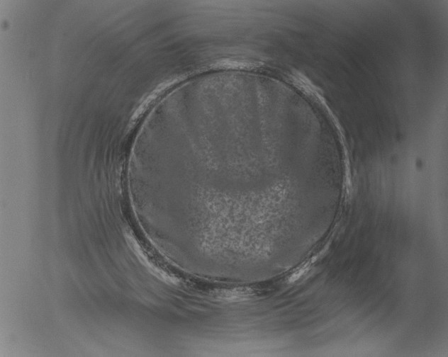 X0000055970106200509021557
