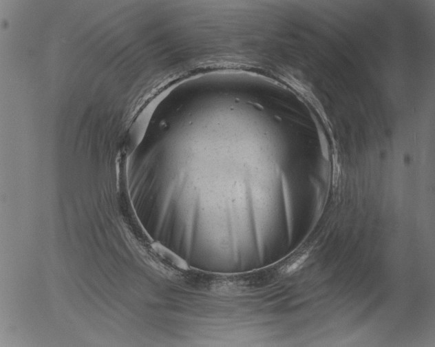 X0000055970109200509021557
