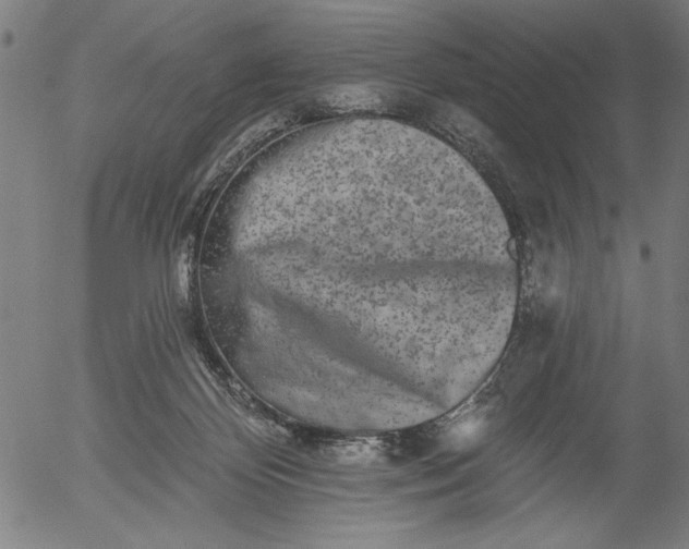 X0000055970124200509021556