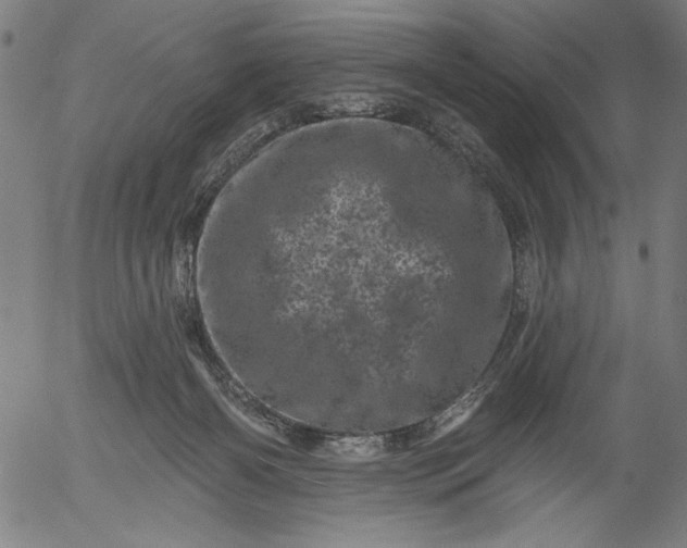 X0000055970126200509021556
