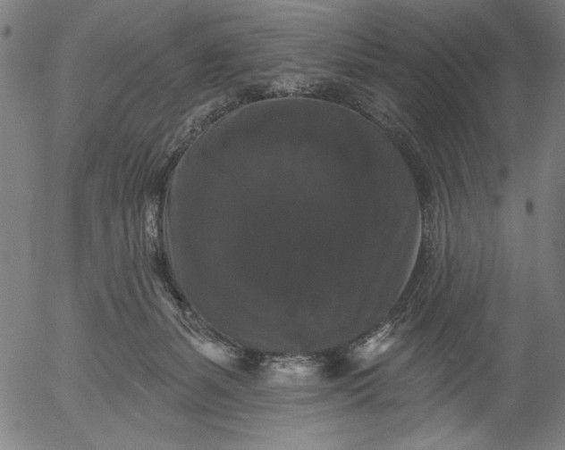 X0000055970127200509021556