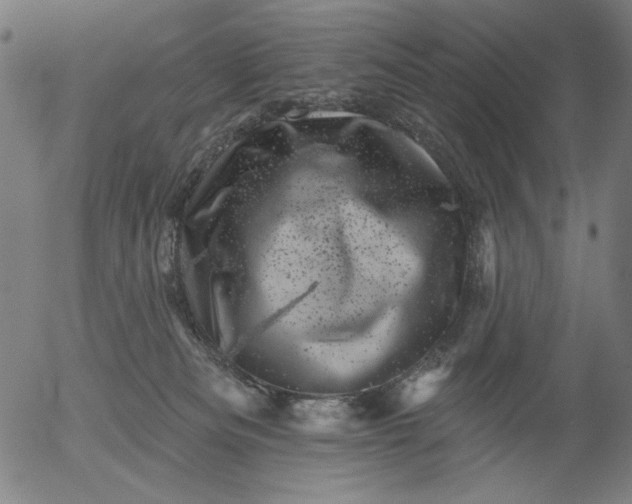 X0000055970133200509021556