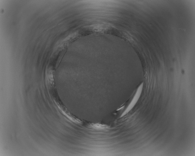 X0000055970137200509021556