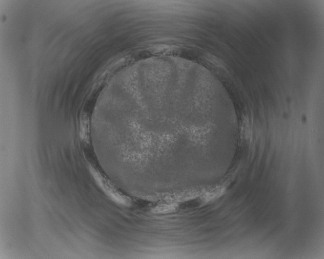 X0000055970138200509021556