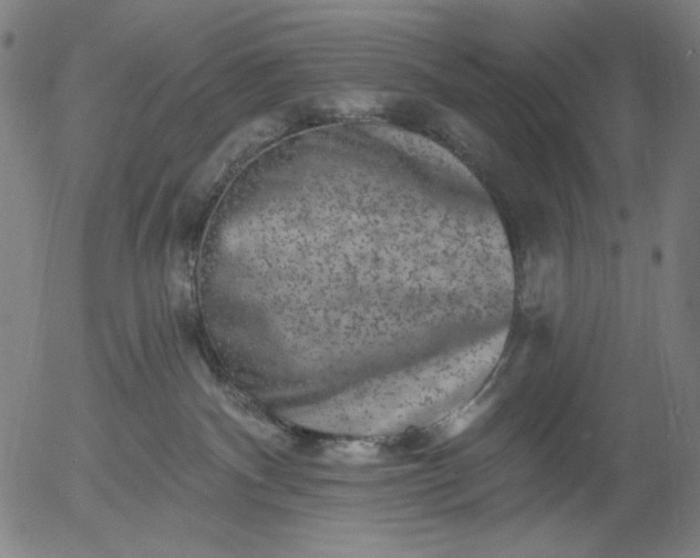 X0000055970140200509021556