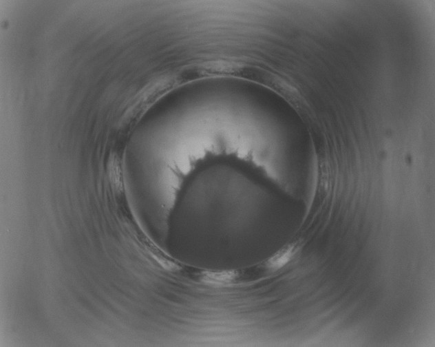X0000055970143200509021556