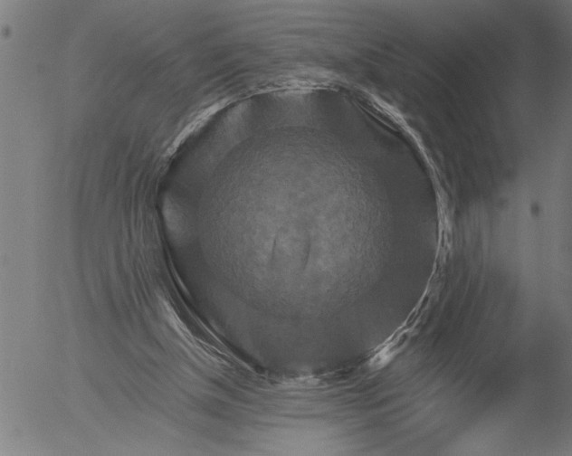 X0000055970154200509021555
