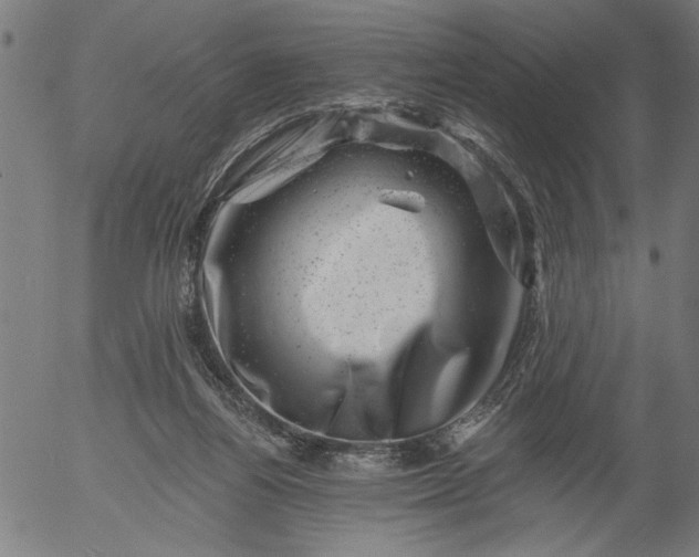 X0000055970164200509021556