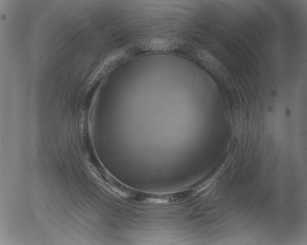 X0000055970167200509021556