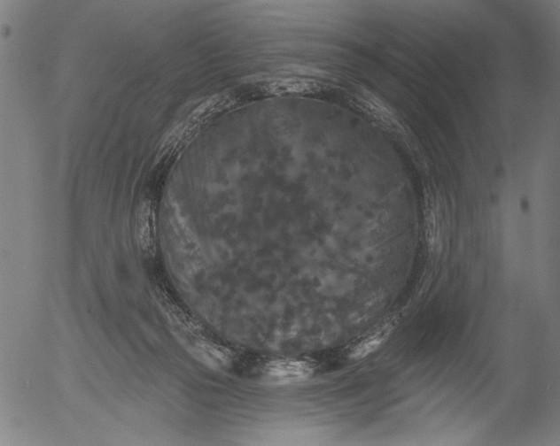 X0000055970169200509021556