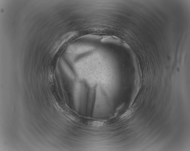 X0000055970176200509021556