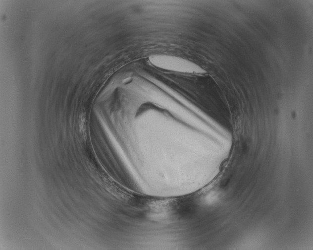 X0000055970178200509021556