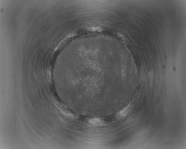 X0000055970183200509021556