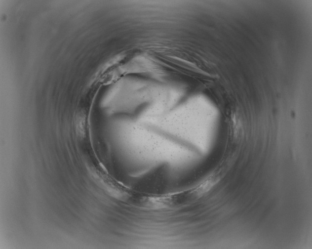 X0000055970188200509021556