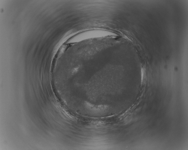 X0000055970195200509021555