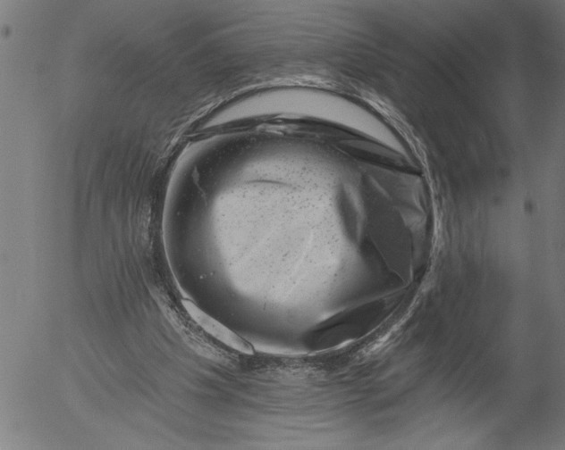X0000055970201200509021555