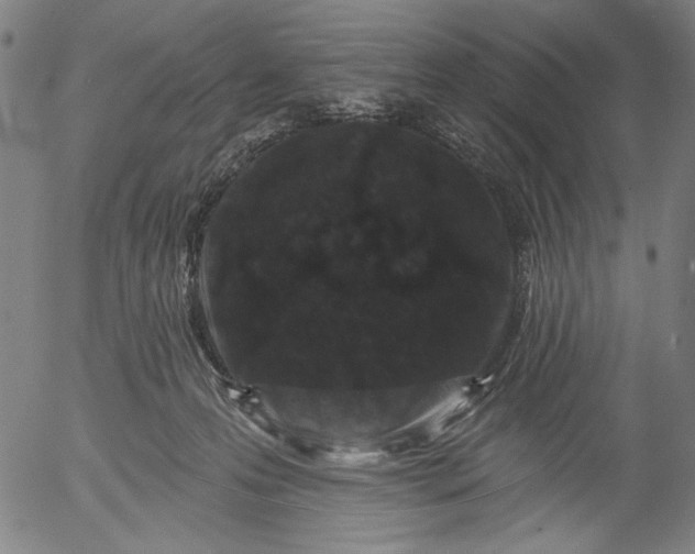 X0000055970223200509021555
