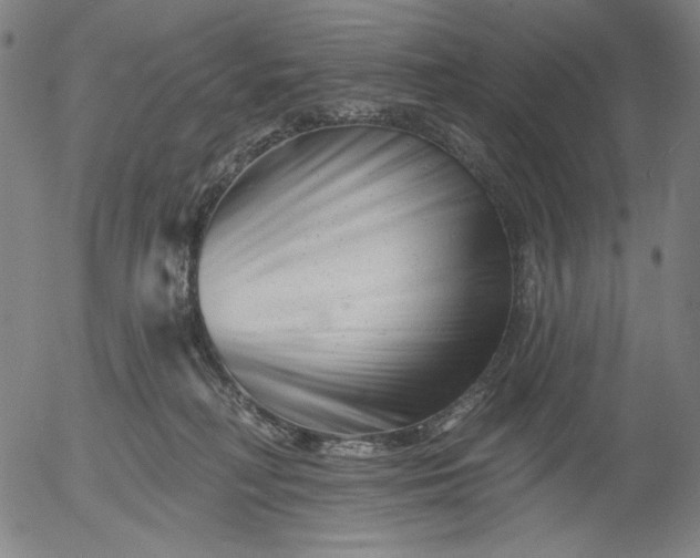 X0000055970230200509021555