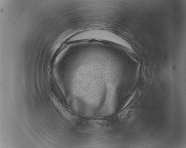X0000055970242200509021554