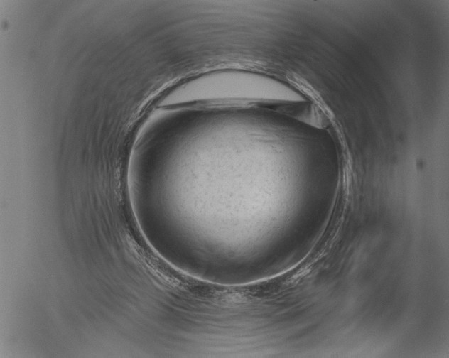 X0000055970249200509021554