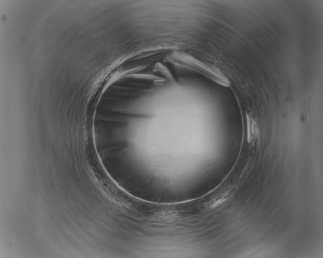 X0000055970252200509021554