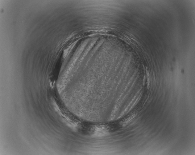 X0000055970264200509021554