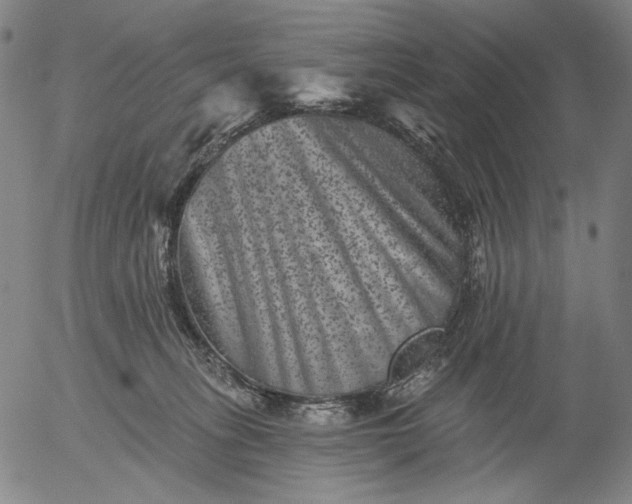 X0000055970275200509021554