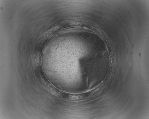 X0000055970277200509021554