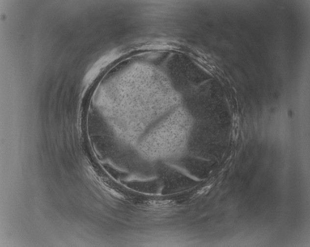 X0000055970296200509021554