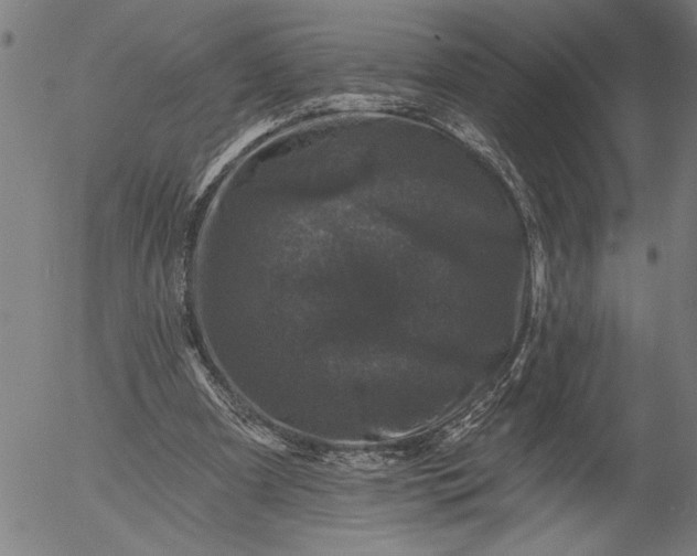 X0000055970297200509021554