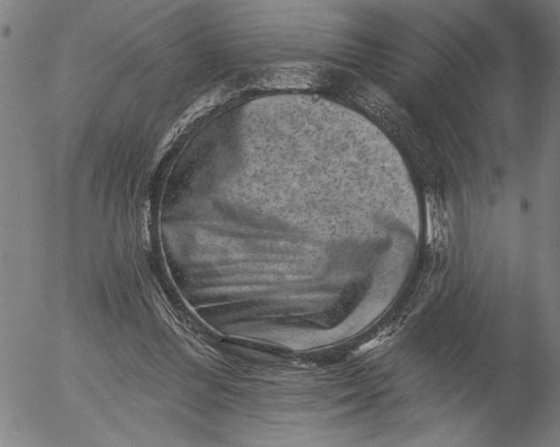 X0000055970300200509021554