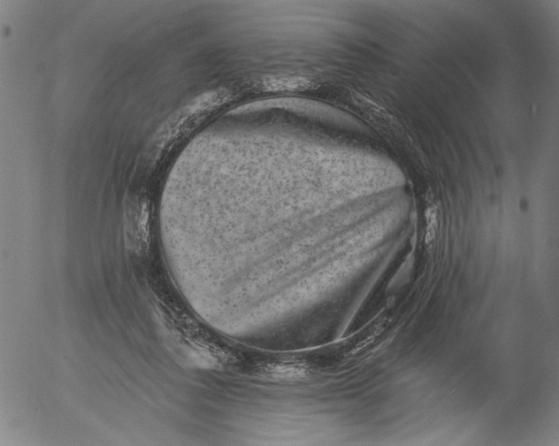X0000055970308200509021553