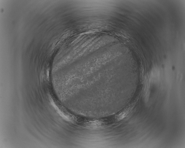 X0000055970310200509021553