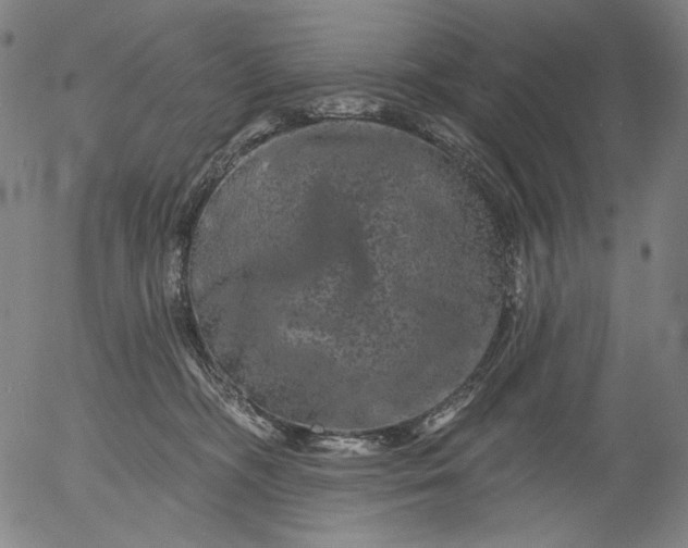X0000055970326200509021553