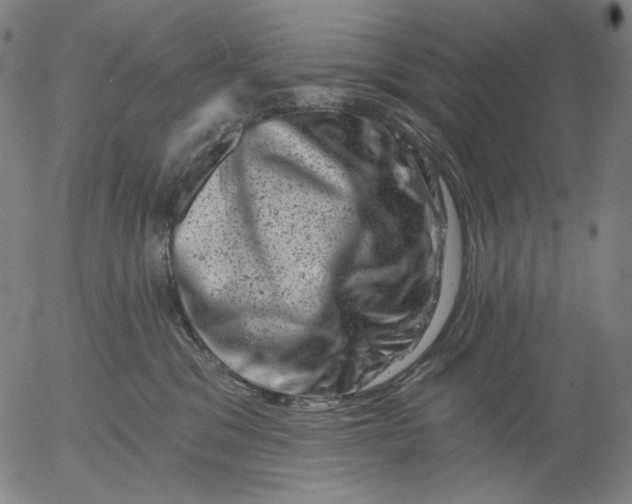 X0000055970329200509021553