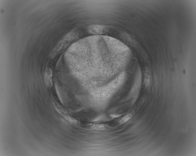 X0000055970332200509021553